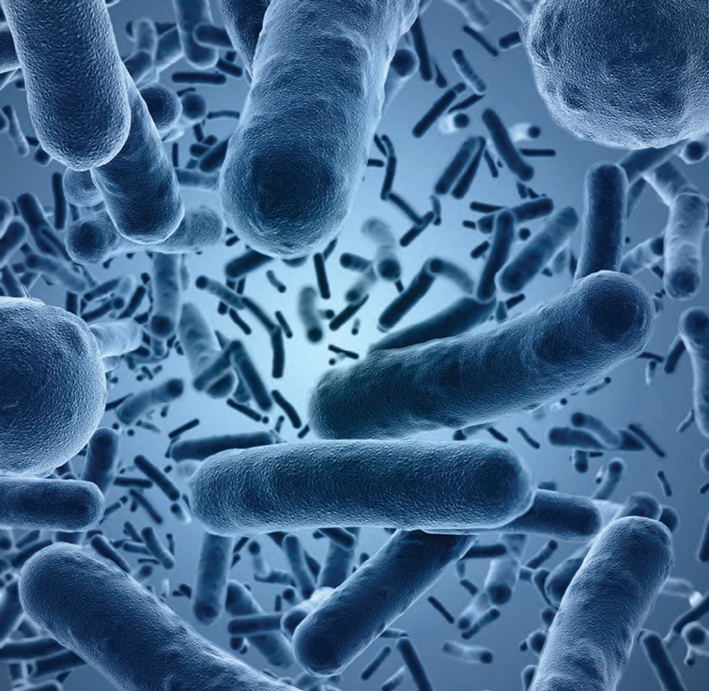 新视角看污水生物处置惩罚的有机物监测